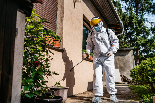 Best Best Pest Control Companies  in Flora Vista, NM