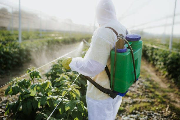 Best Pest Prevention Services  in Flora Vista, NM